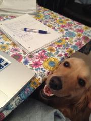 577476_4020653722647_20398253_n-1